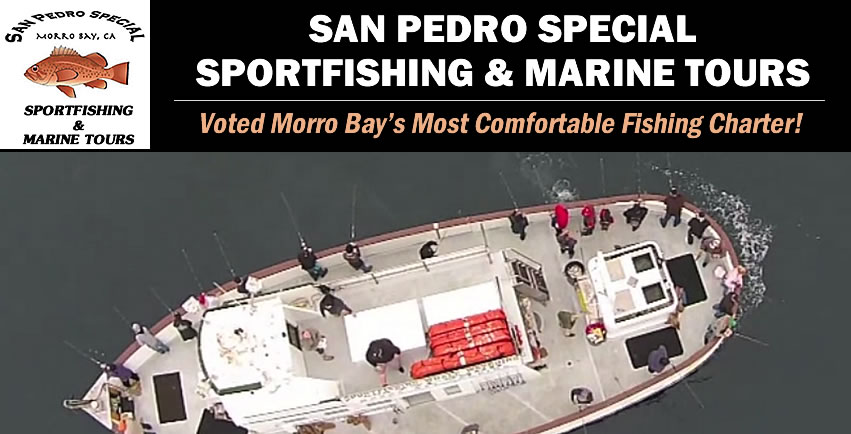 San Pedro Special
Sportfishing & Marine Tours